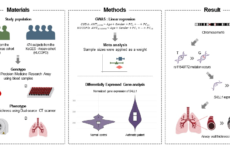 Genome-Wide Association Study of Airway Wall Thickening in a Korean Chronic Obstructive Pulmonary Disease Cohort